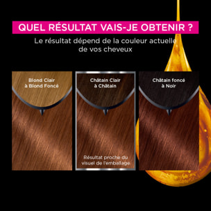 Garnier Olia Coloration 6.35 Noisette