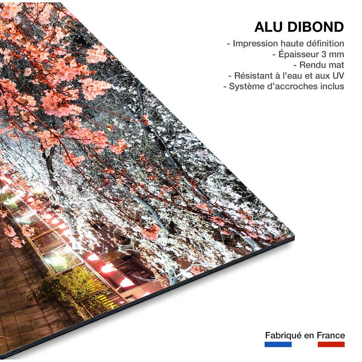 Tableau cerisiers et hanami à tokyo Tableau alu Dibond