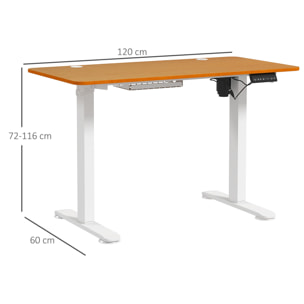 Escritorio Elevable Eléctrico con Altura Ajustable 3 Memorias Sistema de Colisión y Protección contra Sobrecalentamiento Escritorio de Pie para Oficina Hogar 120x60 cm Natural y Blanco