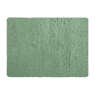 Tapis de bain microfibre 40x60cm Vert basil MSV