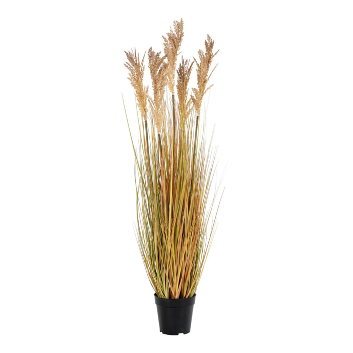 Erba sorgo artificiale naturale H 110 cm