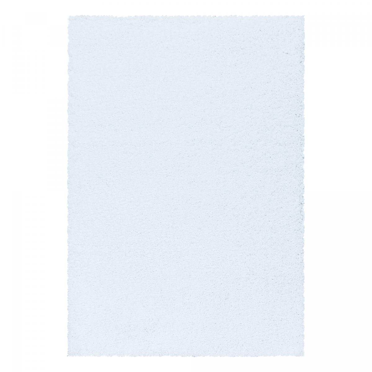 Tapis poils longs shaggy tissé motif uni RIBI