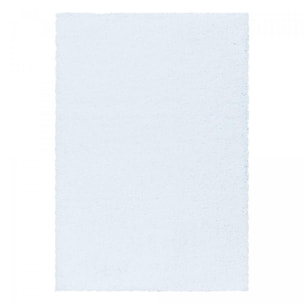 Tapis poils longs shaggy tissé motif uni RIBI