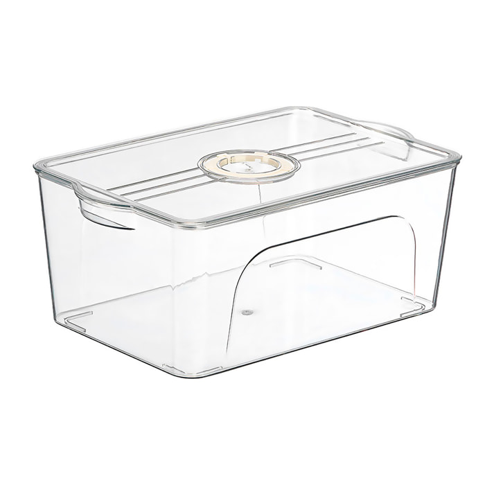 Organizzatore trasparente per frigorifero con coperchio jumbo anello bianco con data.