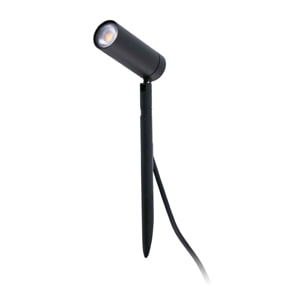 SETH 280 Estaca negra