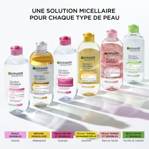 Lot de 6 - Garnier SkinActive Micellaire Biphase Tout en 1 Waterproof 400mL