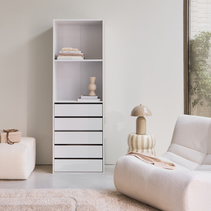 Module dressing décor bois 5 tiroirs 2 étagères MODULO