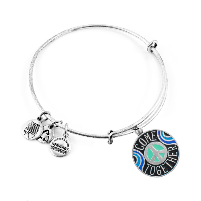 Pulsera Alex And Ani Mujer AS19EP02RS