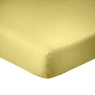 Drap housse - bonnet 35cm 100% coton 57fils gold