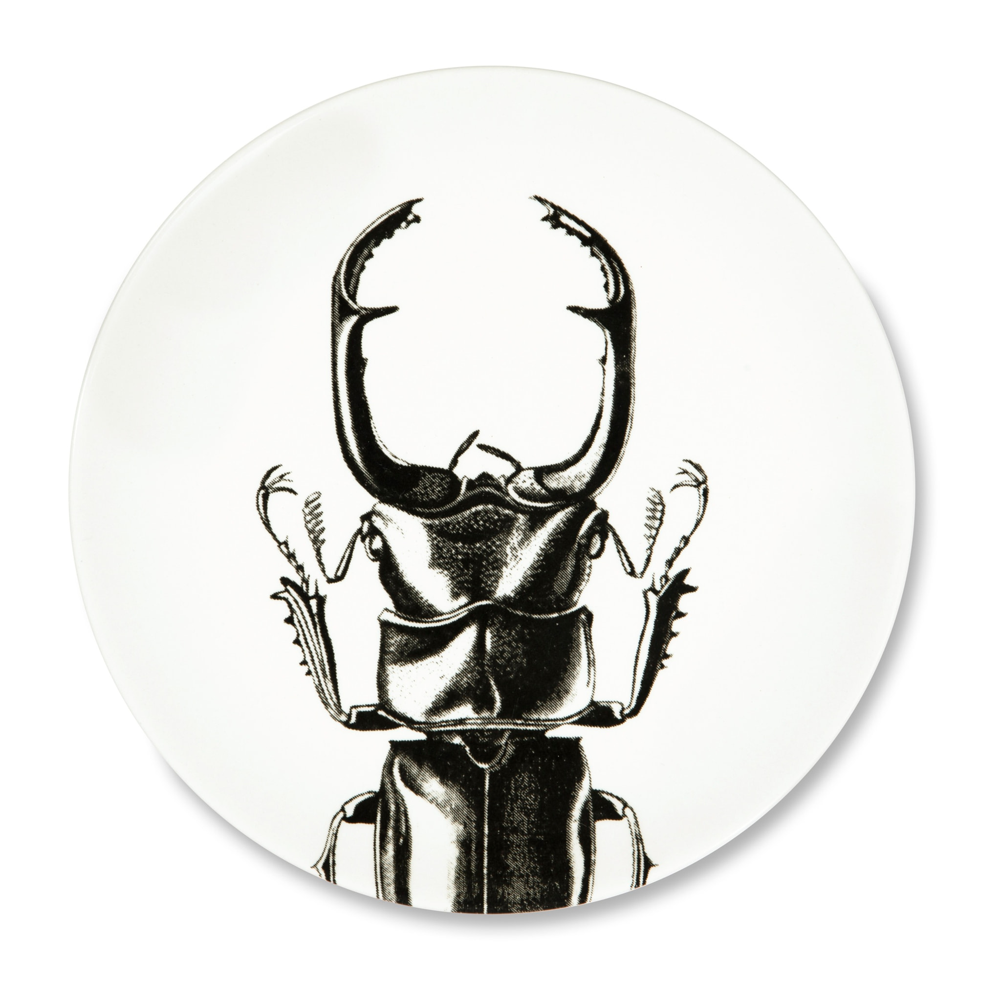 Service de table 3 pièces Excelsa – Faune & Flore, Céramique Blanche