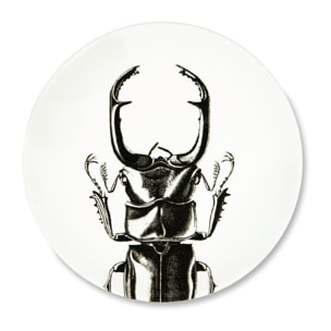 Service de table 3 pièces Excelsa – Faune & Flore, Céramique Blanche