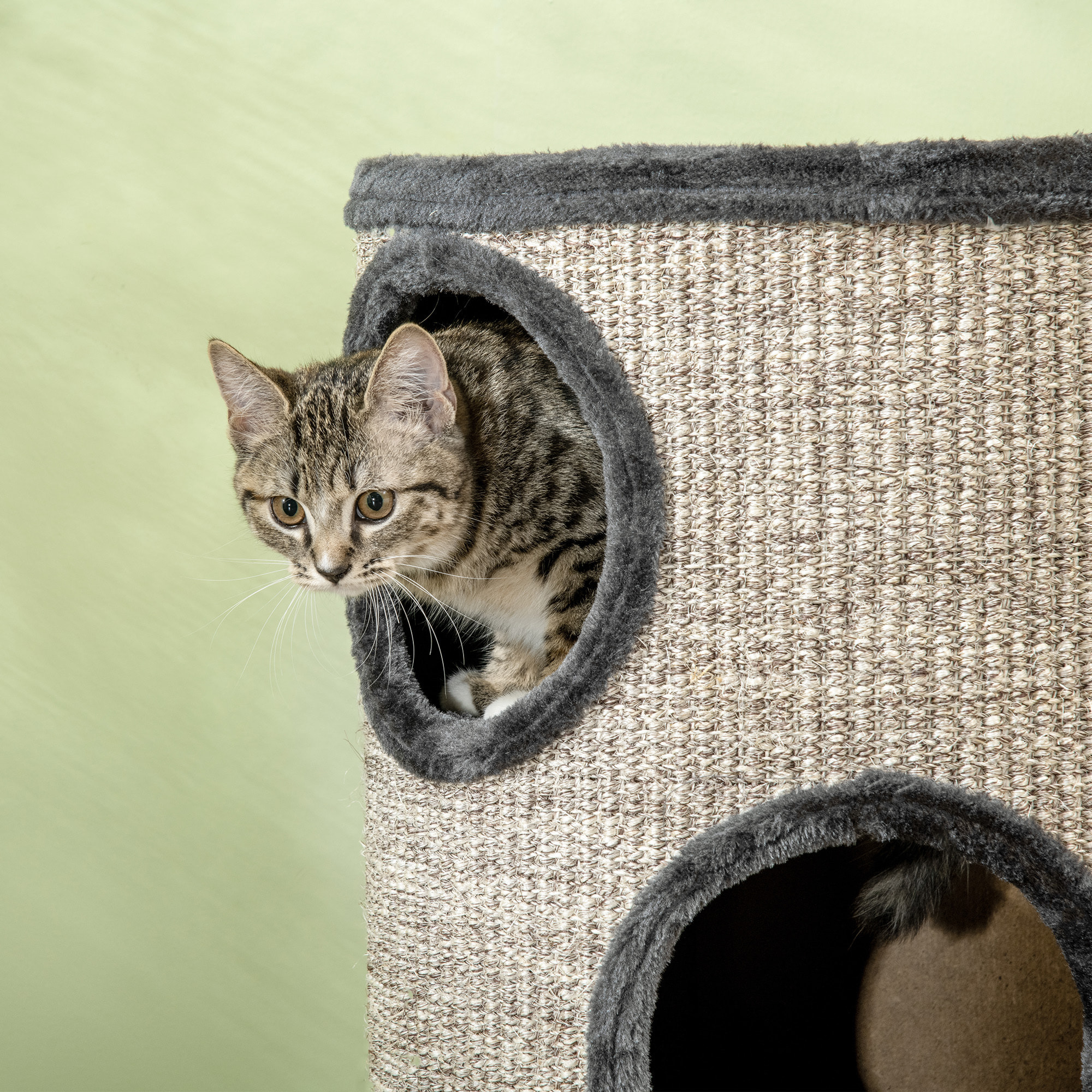 Arbre à chat cylindrique - tour à griffer pour chat - tonneau griffoir - 3 niveaux + plateforme - sisal peluche anthracite