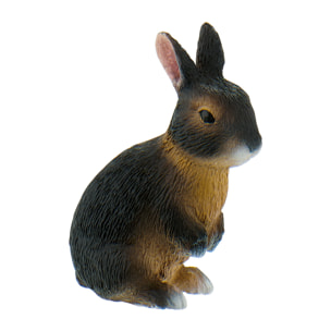 Animali di Casa/Coniglio