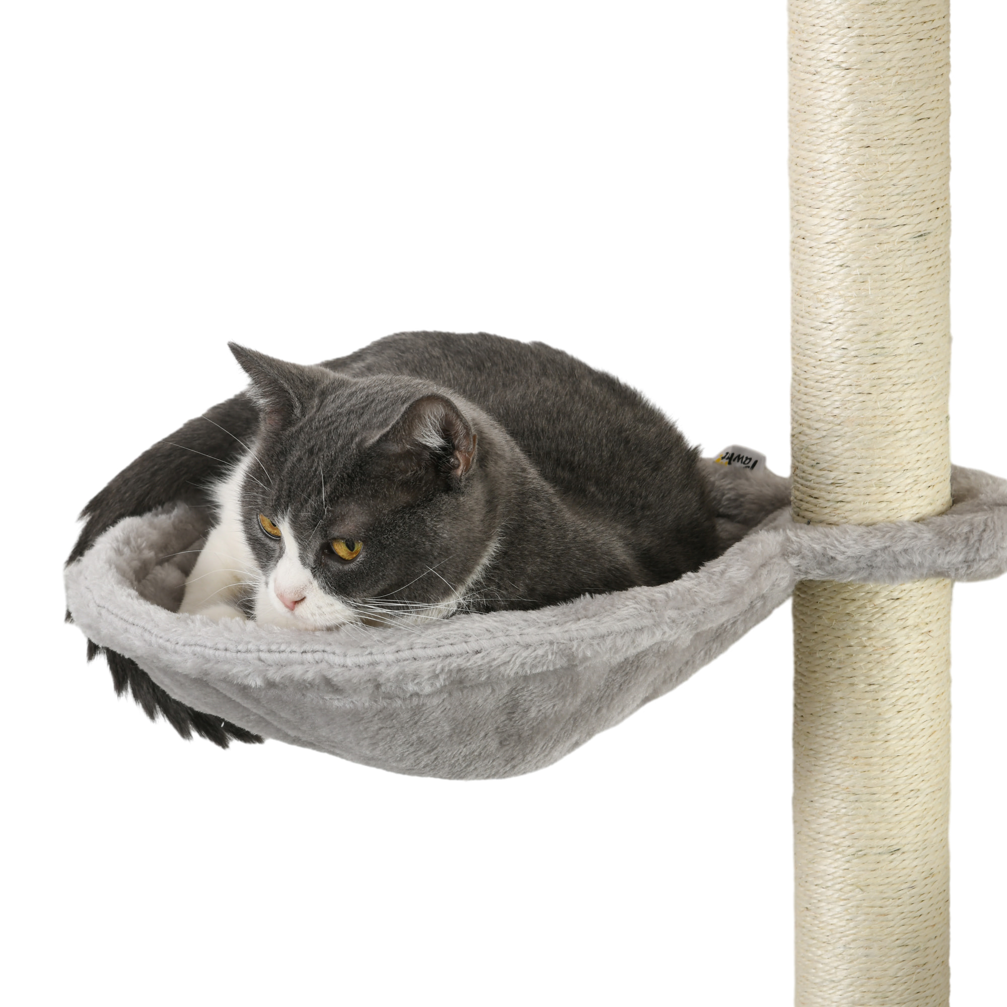Mur d'escalade pour chat avec hamac passerelle planche à gratter et balles peluche sisal gris