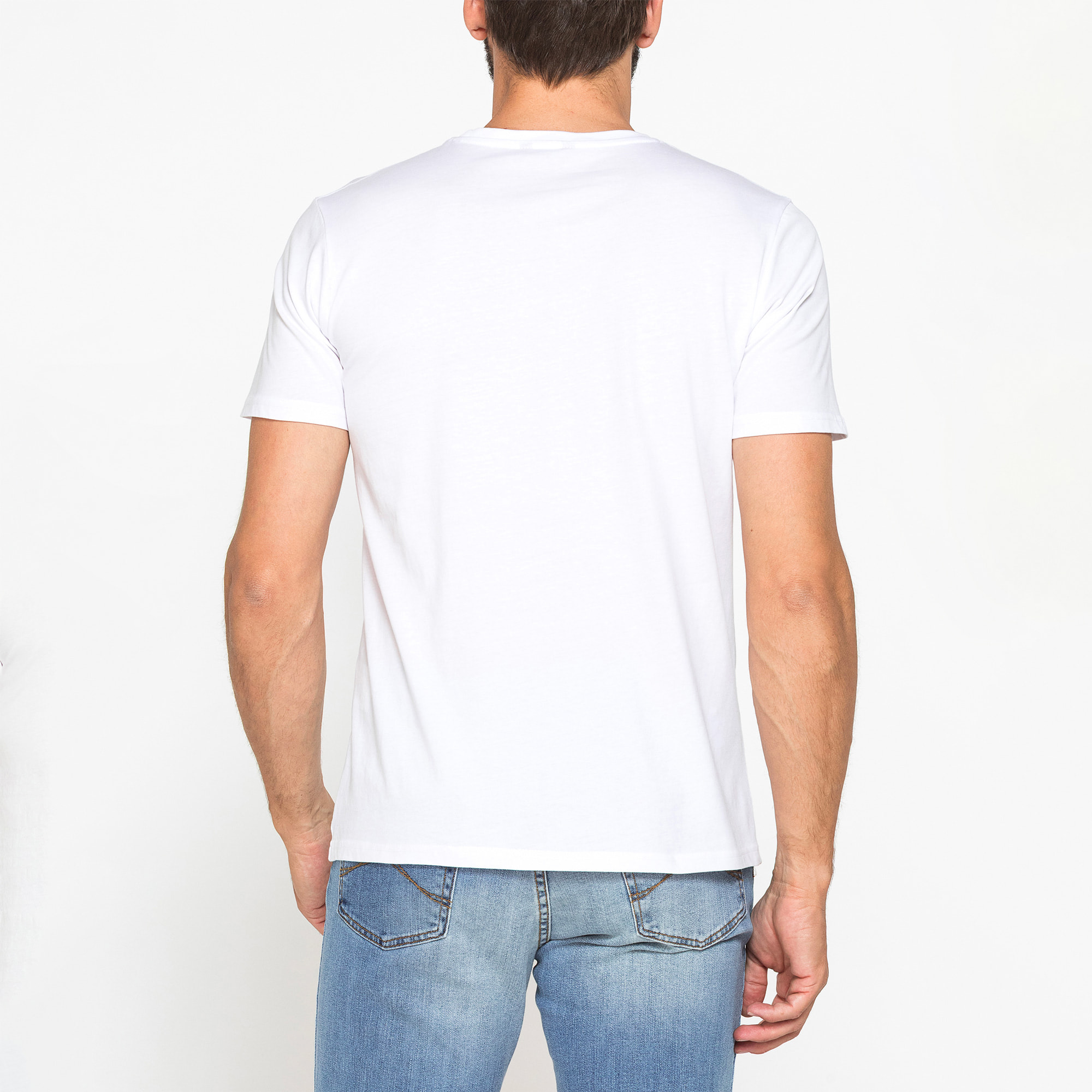 T-SHIRT GIROCOLLO IN COTONE CON STAMPA LOGO CARRERA