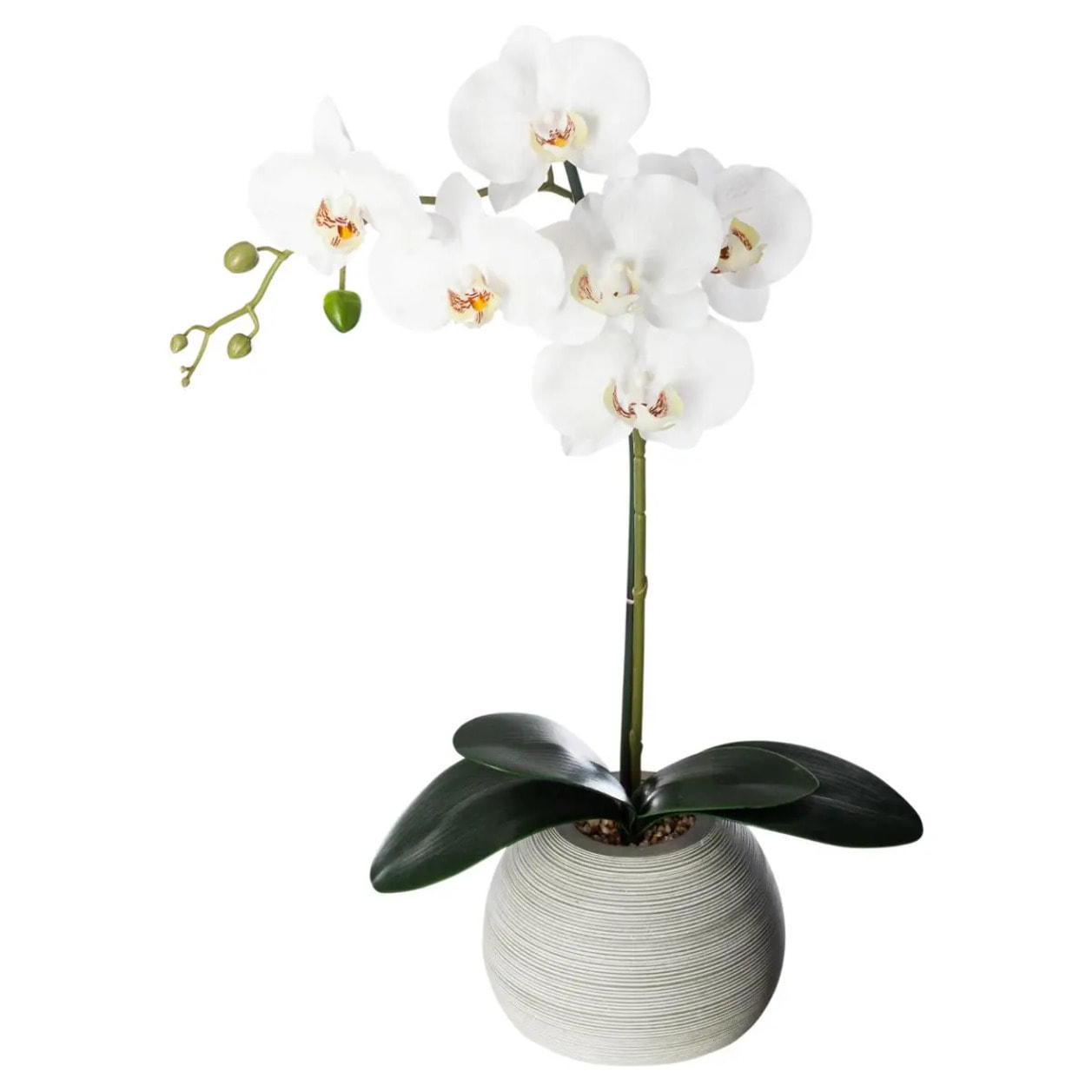 Orchidée artificielle pot ciment H53cm