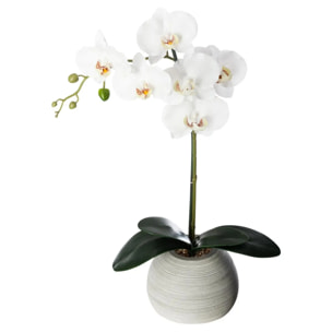 Orchidée artificielle pot ciment H53cm