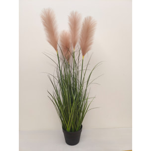 Festuca Glauca Con Vaso H.115 Cm - Pezzi 1 - 50X115X50cm - Colore: Verde - Bianchi Dino - Piante Grandi Invasate