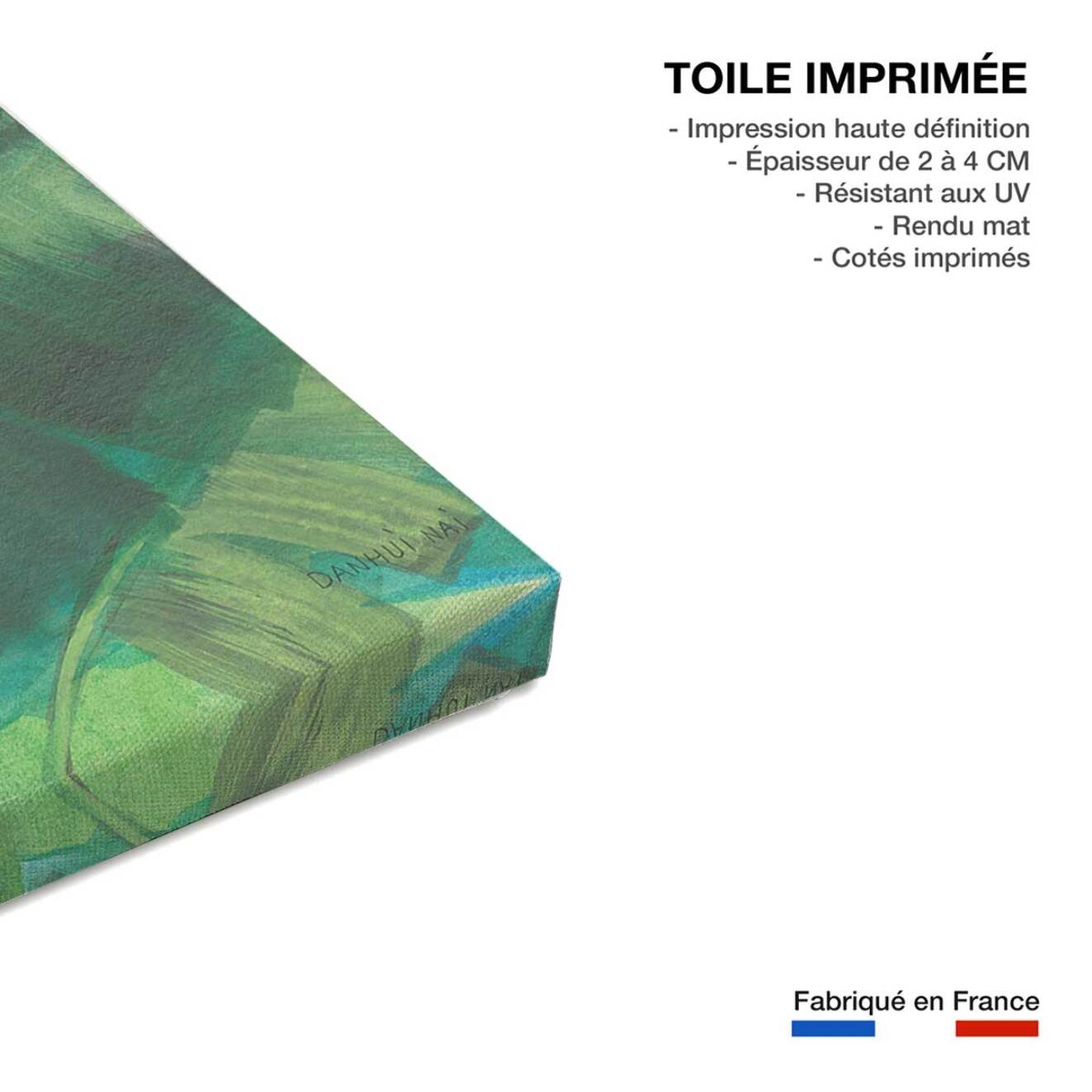 Tableau botanique palmier palmiers des tropiques ii  Toile imprimée