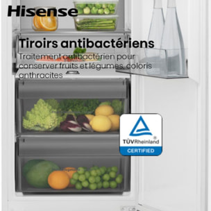 Réfrigérateur 1 porte encastrable HISENSE RL3B303SAWE1