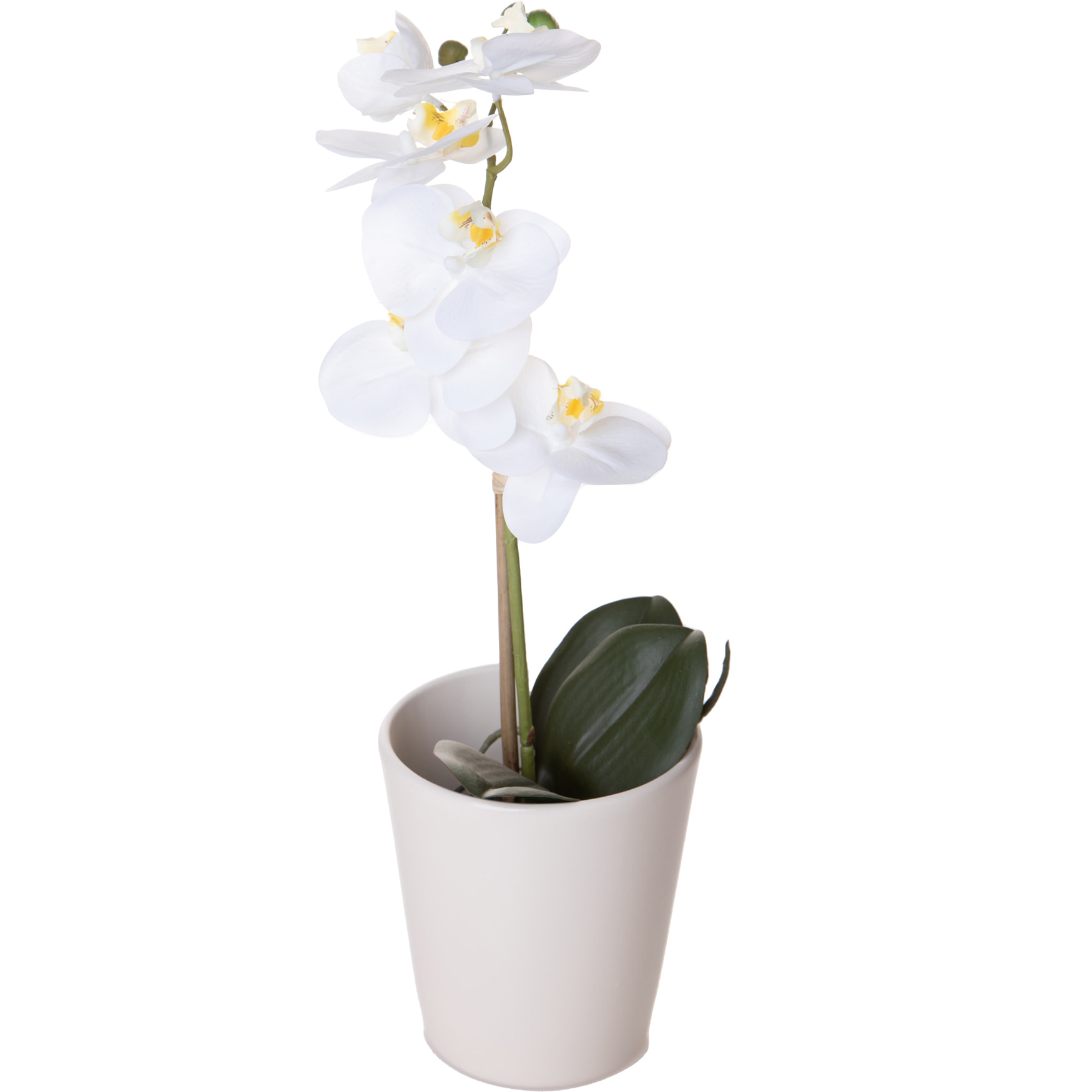 Vaso Orchidea diametro 12X14 Cm - Pezzi 6 - 12X14X12cm - Colore: Bianco - Bianchi Dino - Decori Casa E Complementi