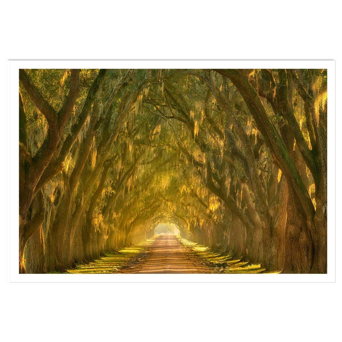 Affiche ""Allee enchanteresse"" Affiche seule