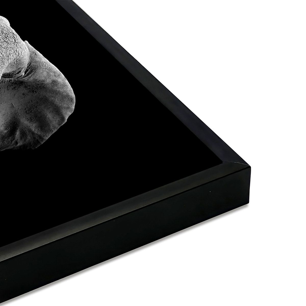 Affiche encadrée éléphant en noir et blanc Affiche + cadre en métal - Noir