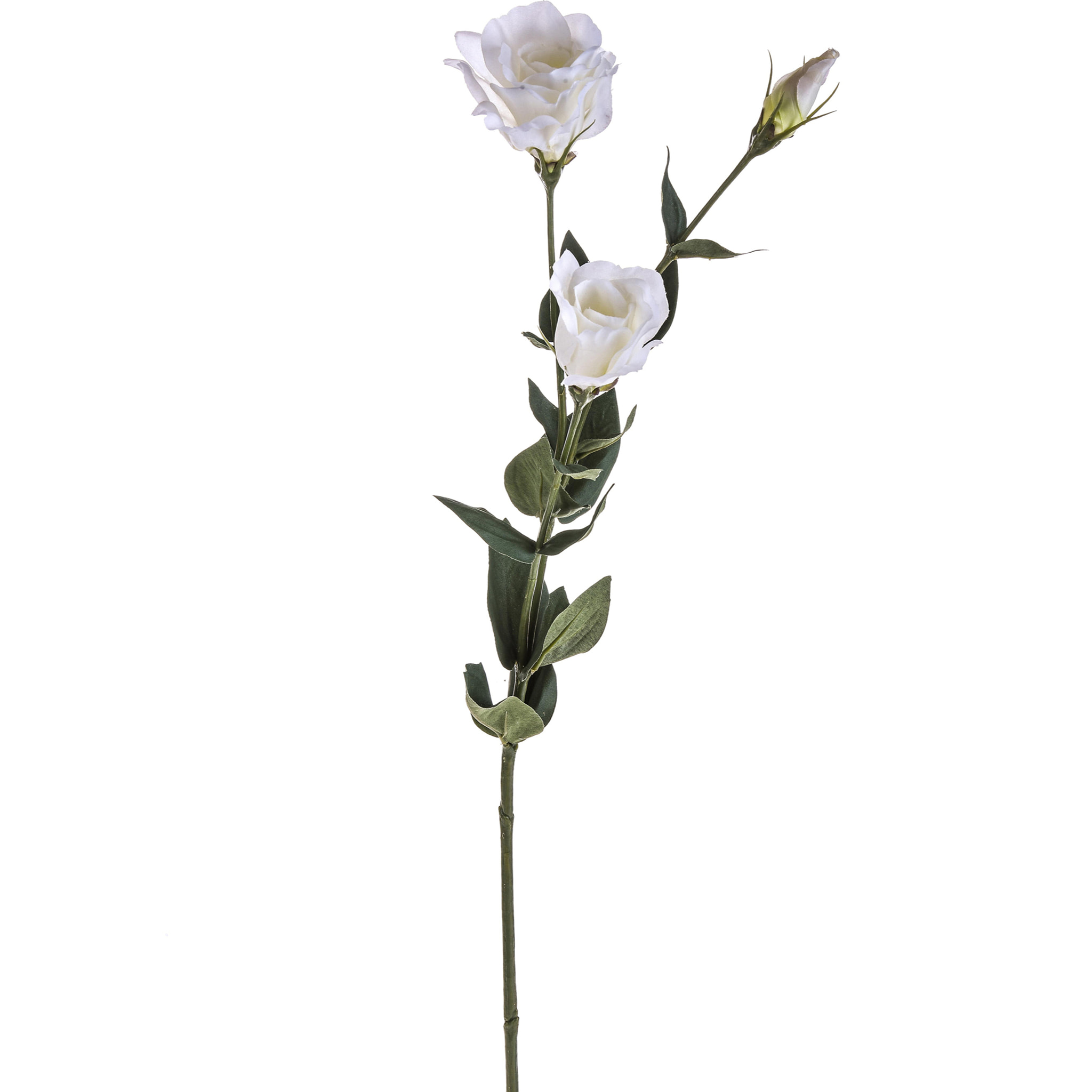 Lisianthus Composto Da 3 Fiori. Altezza 75 Cm - Pezzi 6 - 10X75X19cm - Colore: Bianco - Bianchi Dino - Fiori Artificiali