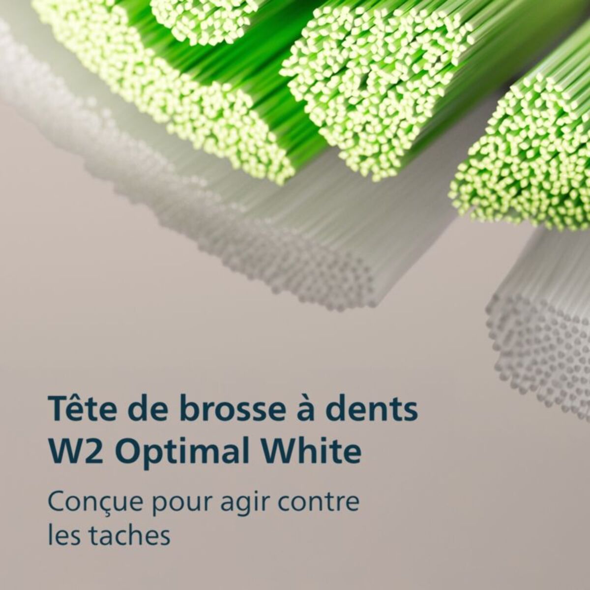 Brosse à dents électrique PHILIPS HX4033/32 Serie 3100 Noire