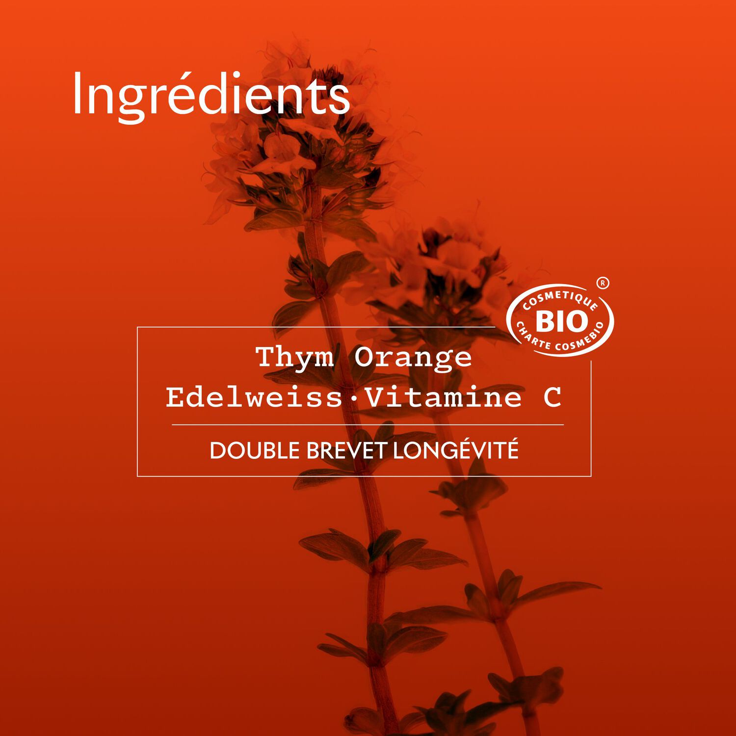 Reines - Masque Anti-Age Eclat Certifié Bio 75 ml