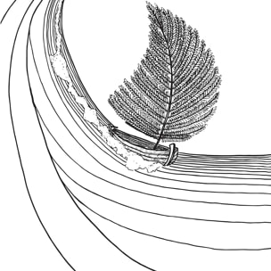 Poster voilier fougeres Affiche + cadre en bois - Noir