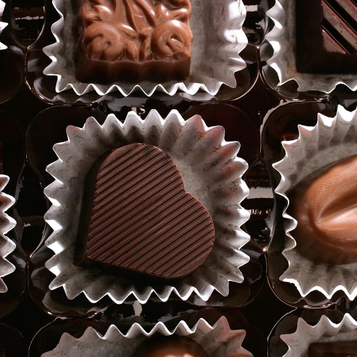 Set comprenant 240 moules à muffins, 1 spatule Zenker, 2 bols à mixer en inox Fackelmann