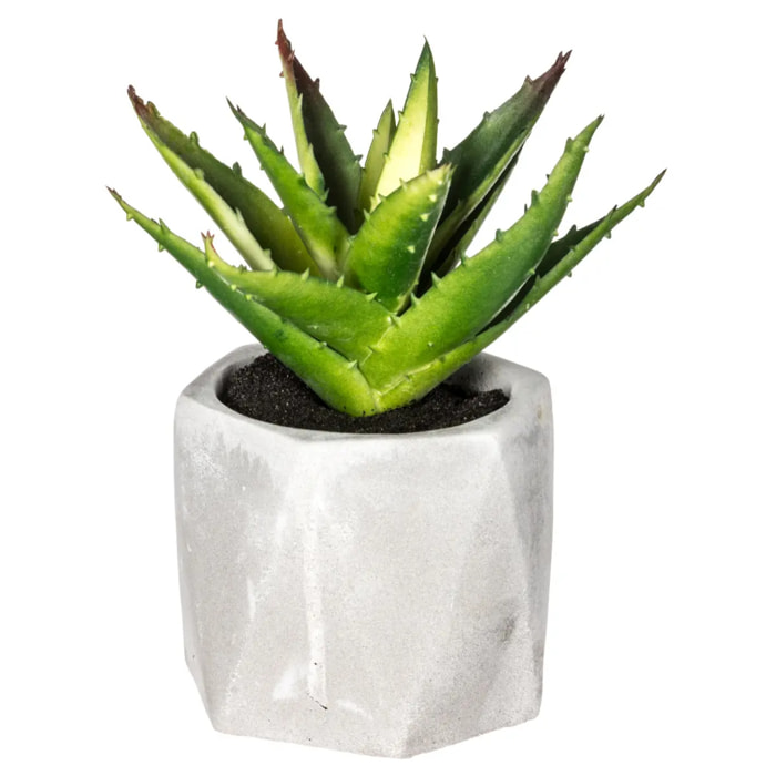 Plante grasse artificielle - pot en ciment - H14 cm