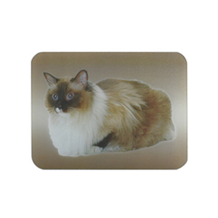 Planche à  découper et dessous de plat en verre motif Chat MSV