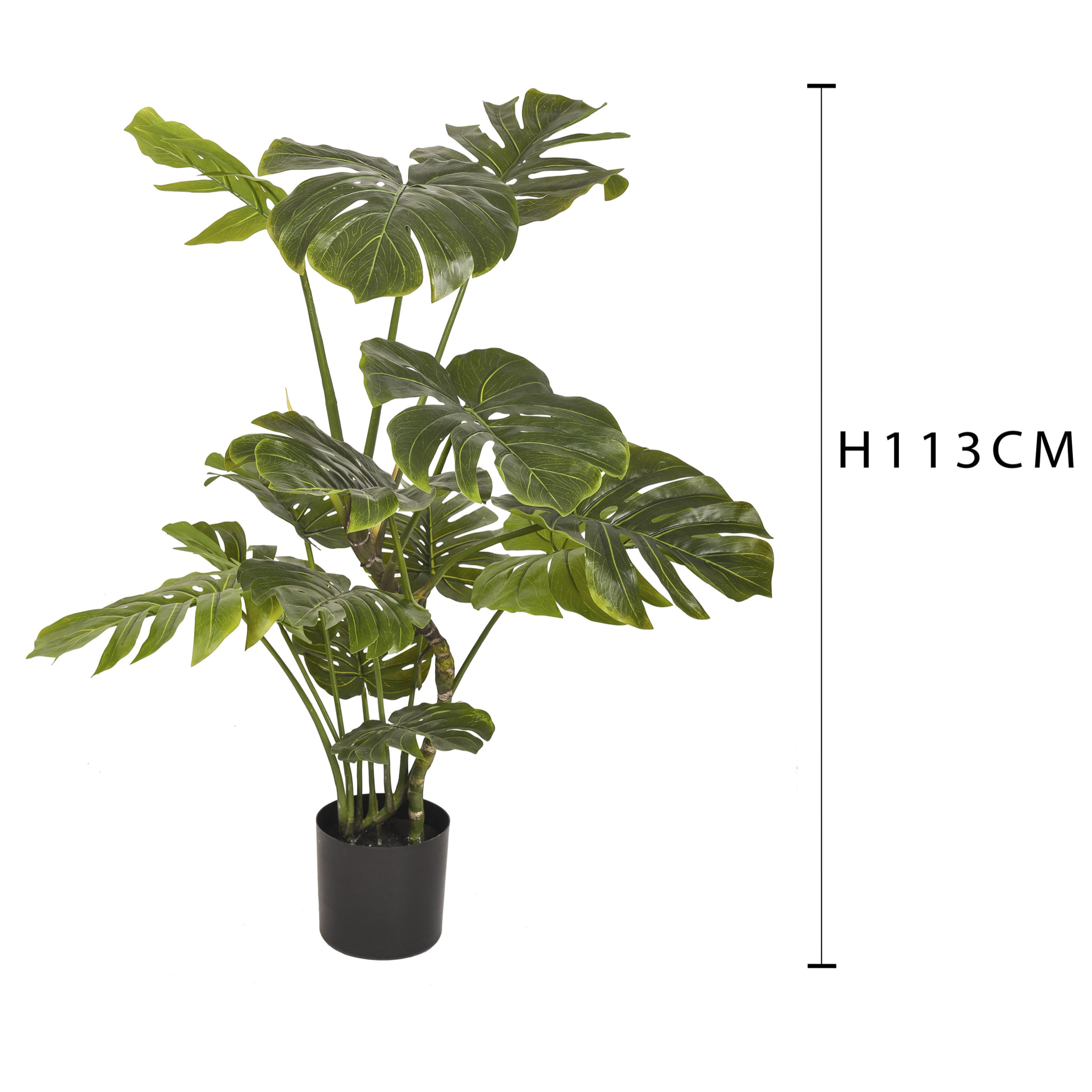 Monstera Con Vaso. Altezza 113 Cm - Pezzi 1 - 70X113X70cm - Colore: Verde - Bianchi Dino - Piante Artificiali