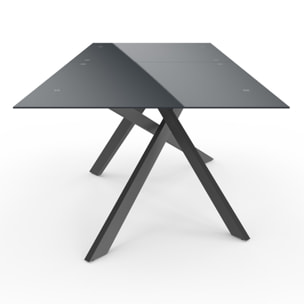 Table de jardin plateau en verre trempé noir et pieds croisés 240cm
