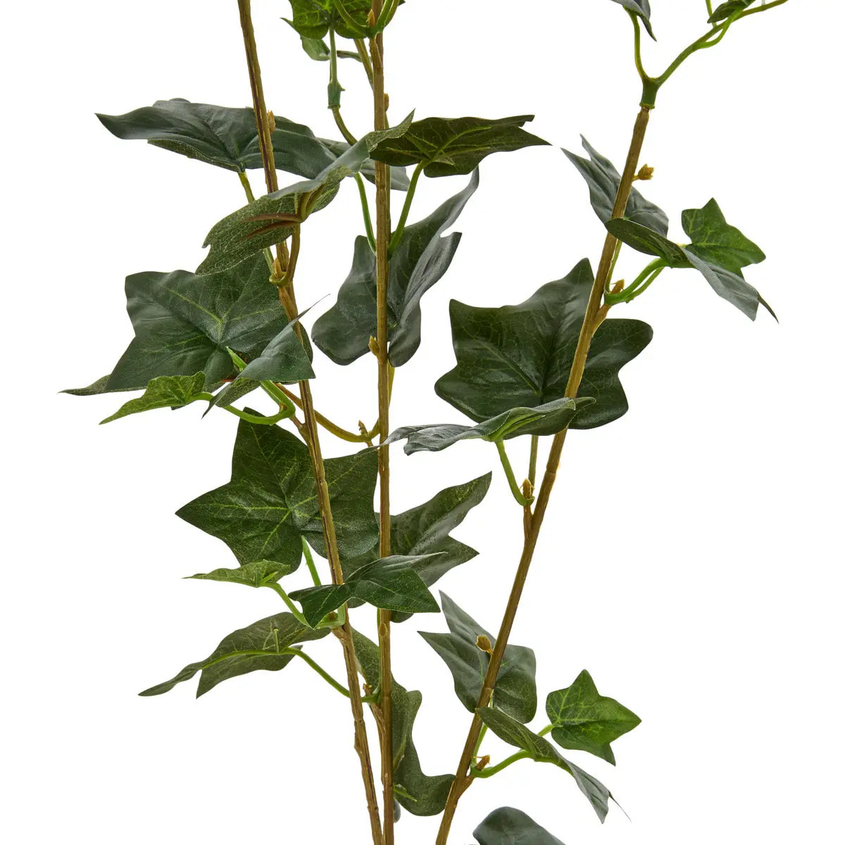 Tige de lierre Nelia H.80cm vert