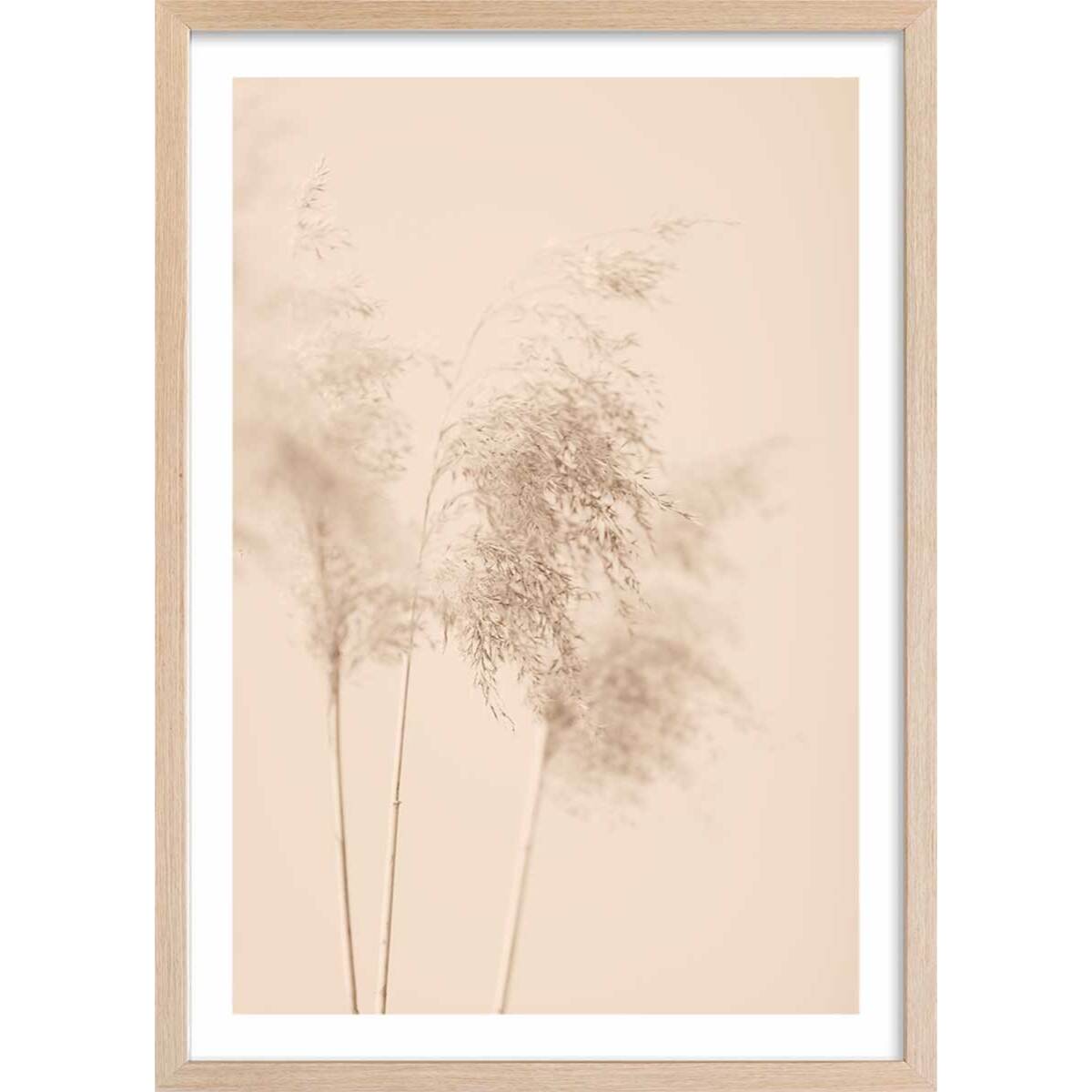 Affiche  des champs sauvages Affiche + cadre en bois - Chêne