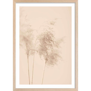 Affiche  des champs sauvages Affiche + cadre en bois - Chêne