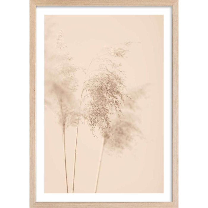 Affiche  des champs sauvages Affiche + cadre en bois - Chêne