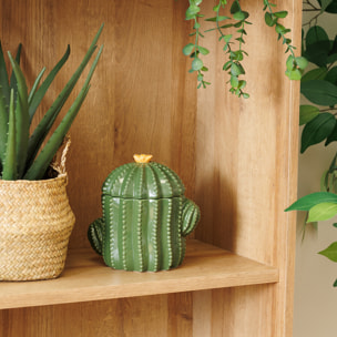 Boîte déco "Yuca" céramique vert 16xH15,5x11cm