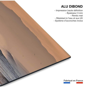 Tableau plage hossegor mouettes au pic Tableau alu Dibond