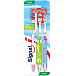 Pack de 3 - SIGNAL Brosse à Dents Multipack Anti-plaque Souple x3