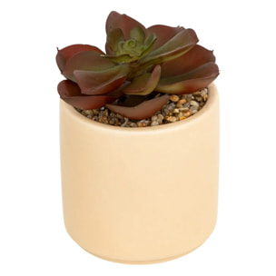 Plante grasse artificielle Nils pot céramique H12cm