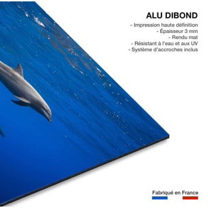Tableau fond marin Dauphins course en famille Tableau alu Dibond