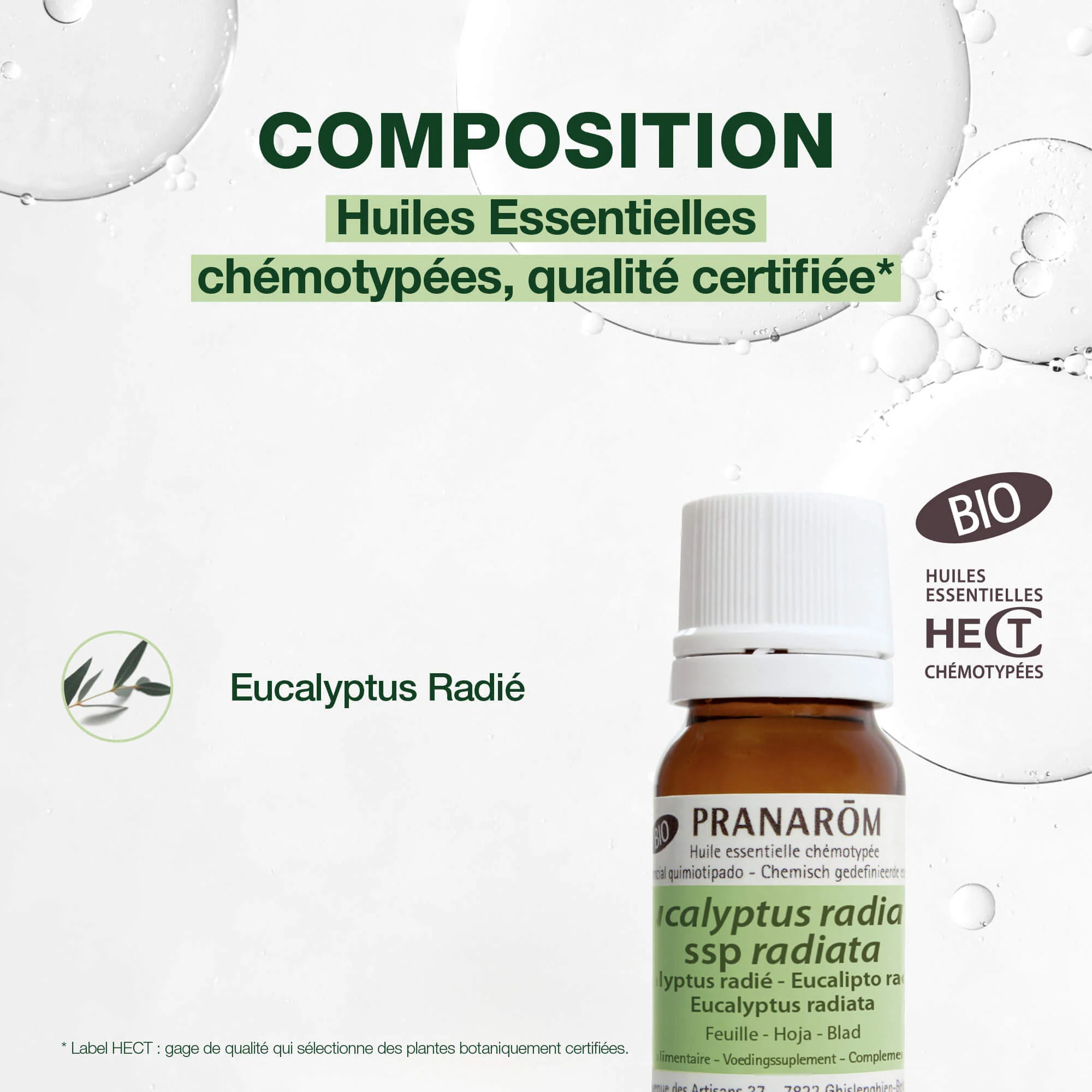 Pranarom - Huile Essentielle d'Eucalyptus radié - Bio - 10 ml