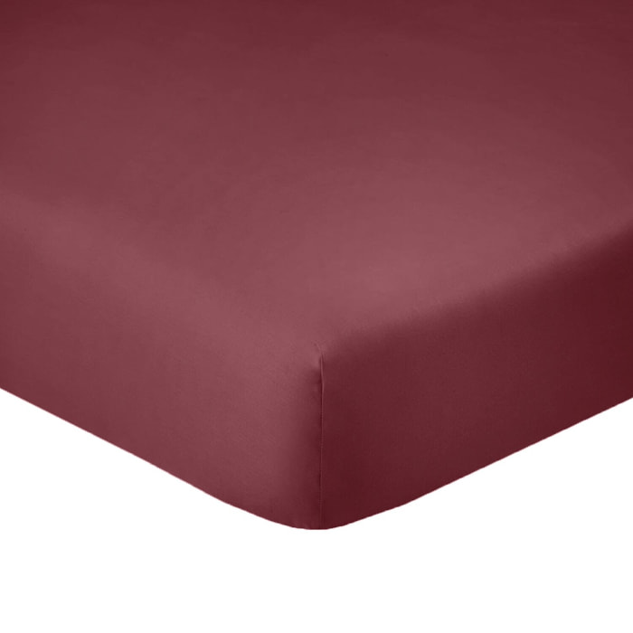 Drap housse coton cerise