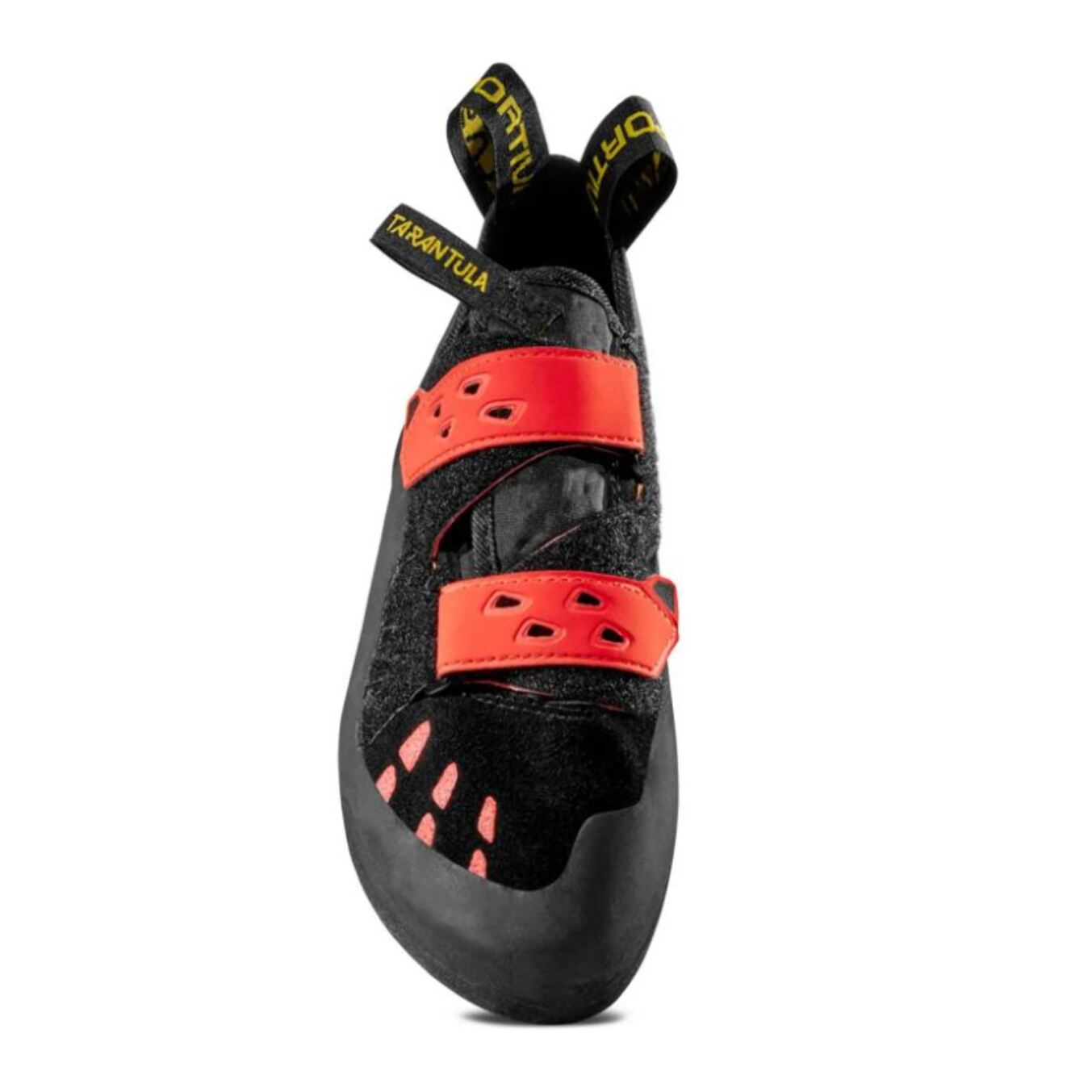 Tarantula Hombre Pies de Gato Escalada