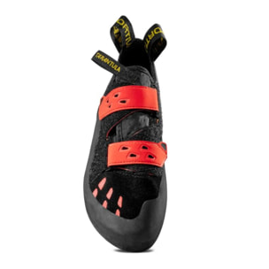 Tarantula Hombre Pies de Gato Escalada