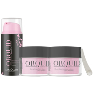 Pack de ligne orchide 1